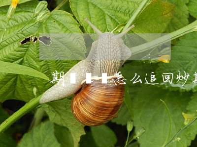 期貨詐騙怎么追回(炒期貨被騙能追回嗎)