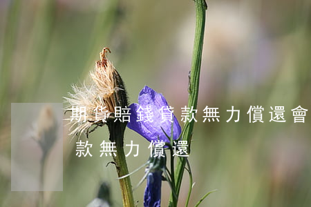期貨賠錢貸款無力償還會怎么樣（期貨賠錢貸款無力償還）