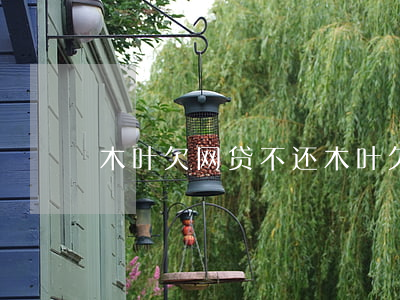 木叶欠网贷不还(木叶欠网贷不还)