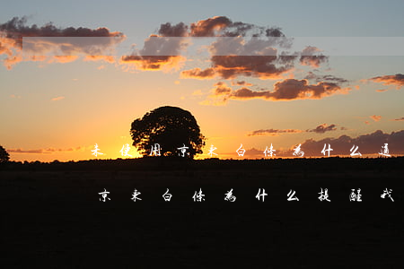 未使用京东白条为什么通知还款-没有用过京东白条为什么提醒我还款