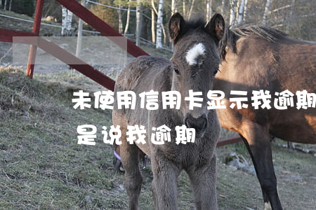 未使用信用卡显示我逾期(没有办过信用卡但是说我逾期)