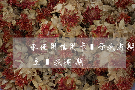 未使用信用卡顯示我逾期(沒有辦過信用卡但是說我逾期)