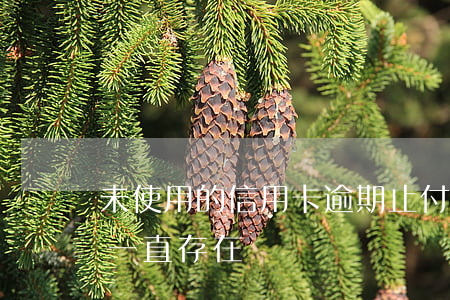 未使用的信用卡逾期止付(信用卡逾期止付會一直存在嗎?)