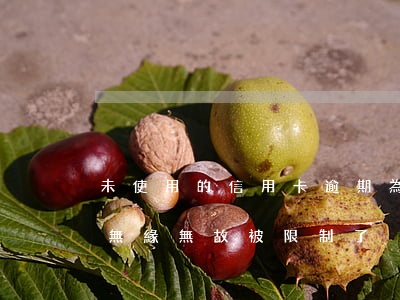 未使用的信用卡逾期 為什么信用卡沒有逾期無緣無故被限制了
