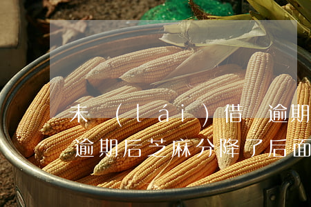 未來(lái)借唄逾期影響芝麻分嗎(借唄逾期后芝麻分降了后面還款了會(huì)上升嗎)