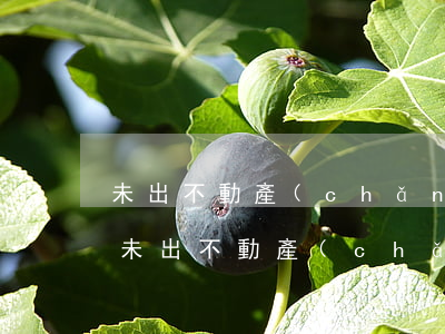 未出不動產(chǎn)證法院可以拍賣嗎(未出不動產(chǎn)證法院可以拍賣嗎)