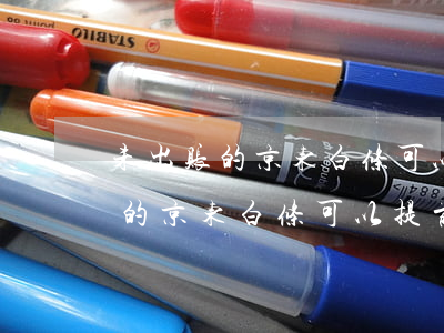 未出账的京东白条可以提前还款吗-未出账的京东白条可以提前还款吗安全吗