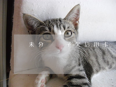 未分戶兒子欠信用卡(沒分戶父親欠債怎么辦)