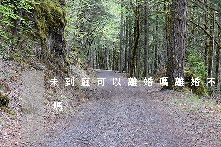 未到庭可以離婚嗎(離婚不到庭怎么處理能離嗎?)