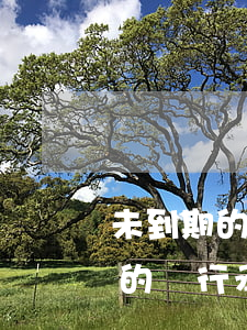 未到期的銀行承兌匯票無力償還時-未到期的銀行承兌匯票無力償還時怎么辦