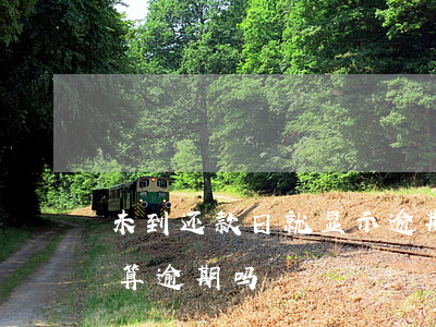 未到还款日就显示逾期(今天还款日明天还款算逾期吗)