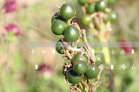 未和國外老婆離婚合法嗎(在國內(nèi)結(jié)婚,離婚在國外,這合法嗎)