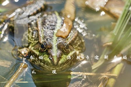 未婚人員信用卡逾期(未婚人員信用卡逾期怎么處理)