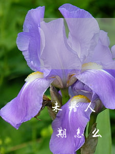 未婚人員欠信用卡逾期 未婚人員欠信用卡逾期怎么處理