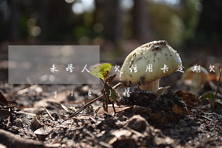 未婚人員欠信用卡逾期(欠信用卡逾期能結(jié)婚嗎)