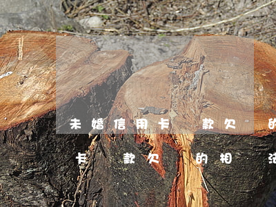 未婚信用卡貸款欠債的相關法律-未婚信用卡貸款欠債的相關法律規(guī)定