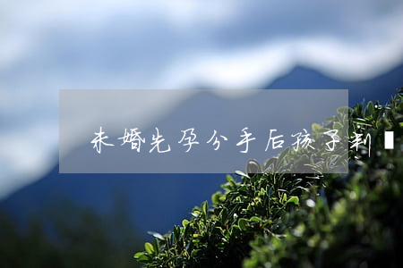 未婚先孕分手后孩子判給誰