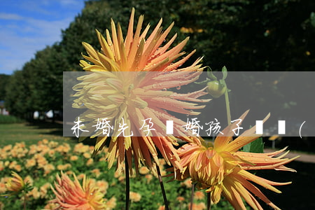 未婚先孕離婚孩子歸誰(shuí)