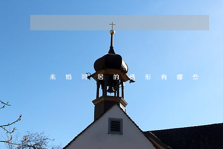 未婚同居的情形有哪些?