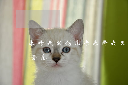 未婚夫欠信用卡(未婚夫欠信用卡男方一點不著急)