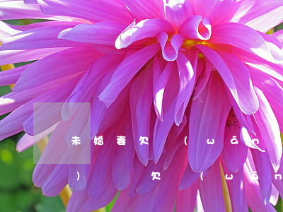 未婚妻欠網(wǎng)貸還領(lǐng)證嗎(欠網(wǎng)貸能領(lǐng)結(jié)婚證嗎)