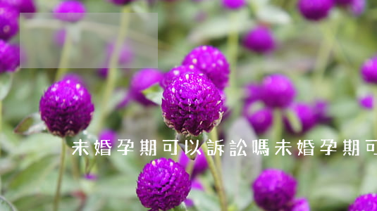 未婚孕期可以訴訟嗎(未婚孕期可以訴訟嗎)