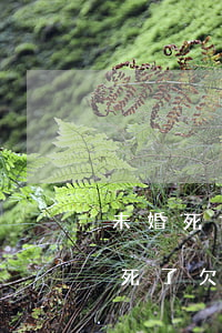 未婚死亡欠的信用卡和網(wǎng)貸(人死了欠的網(wǎng)貸信用卡用還嗎)