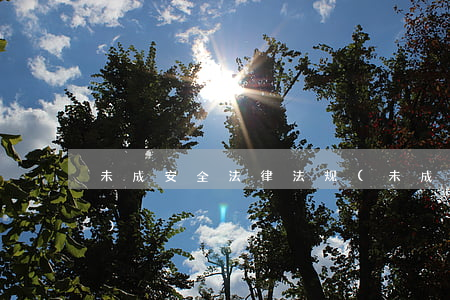 未成安全法律法规(未成年保护的法律法规)