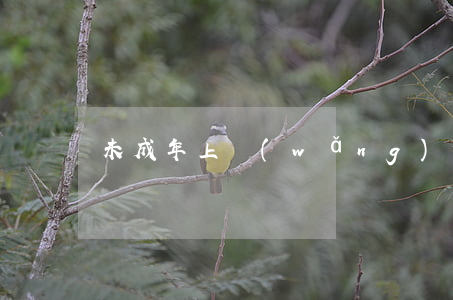 未成年上網(wǎng)犯法嗎