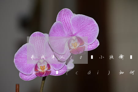 未成年人10歲小孩偷竊房東的錢(qián)財(cái)如何處置，12歲兒童偷竊他人財(cái)物