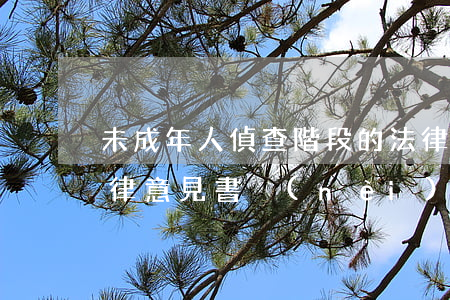 未成年人偵查階段的法律意見書(偵查階段 法律意見書內(nèi)容)
