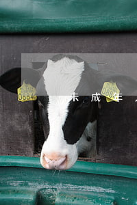 未成年人偷快遞怎么處置
