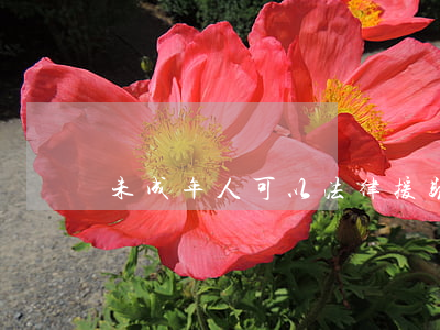未成年人可以法律援助嗎