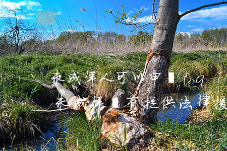 未成年人可以申請(qǐng)法律援助嗎(未成年沒有提供法律援助)