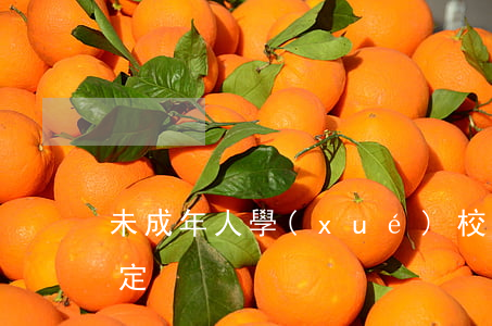 未成年人學(xué)校保護規(guī)定