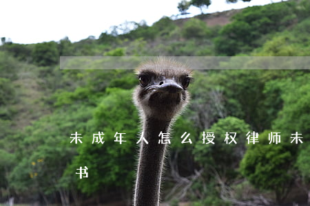未成年人怎么授权律师(未成年委托律师委托书)
