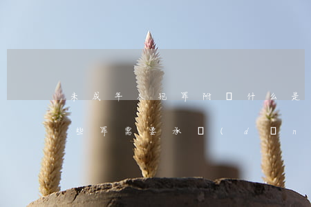 未成年人犯罪附帶什么是民事賠償(未成年哪些罪需要承擔(dān)刑事責(zé)任)