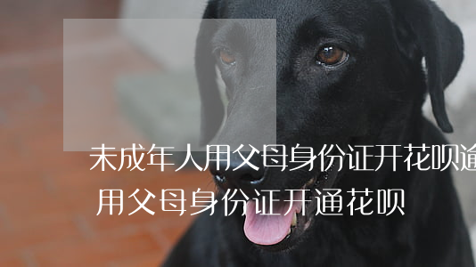 未成年人用父母身份证开花呗逾期-未成年用父母身份证开通花呗