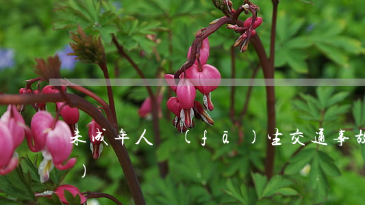 未成年人發(fā)生交通事故全責(zé)