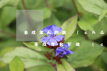 未成年人的房產(chǎn)法院可以查封嗎(未成年名下房產(chǎn)可以查封嗎)