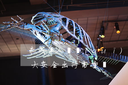 未成年人違規(guī)駕駛電動車的危害大，安全出行需重視
