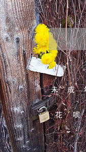 未成年使用花呗导致逾期(花呗没逾期为什么花呗会出现无法使用)