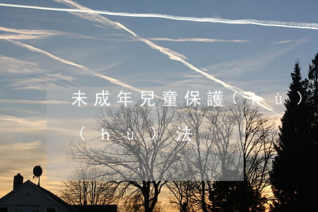 未成年兒童保護(hù)法(未成年兒童保護(hù)法)