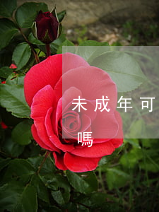 未成年可以到法院起訴嗎(未成年可以被起訴嗎)