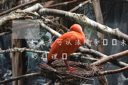未成年可以法院旁聽嗎(未成年可以旁聽案件的審理嗎)
