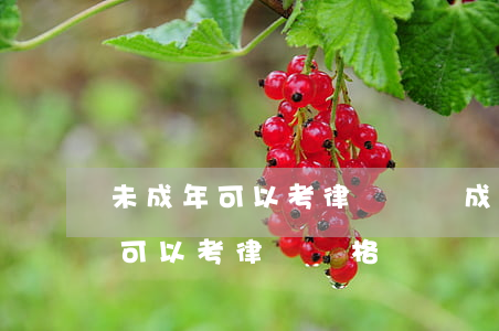 未成年可以考律師證嗎(成人學(xué)歷可以考律師資格證嗎)