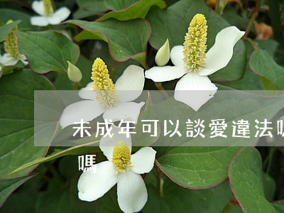 未成年可以談愛違法嗎(未成年可以談愛違法嗎)