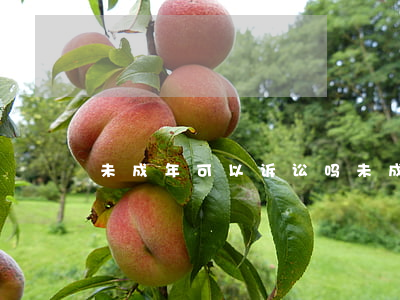 未成年可以诉讼吗(未成年可以诉讼吗)