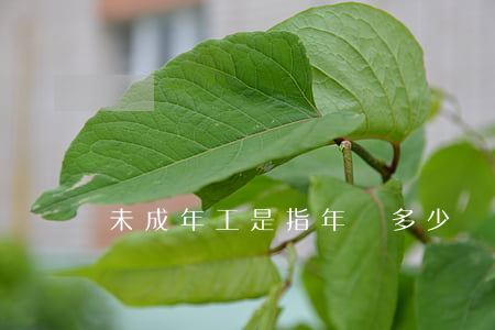 未成年工是指年滿多少歲