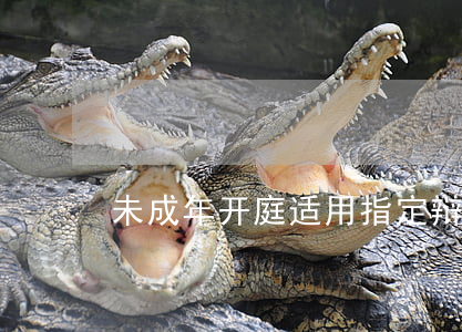 未成年开庭适用指定辩护吗